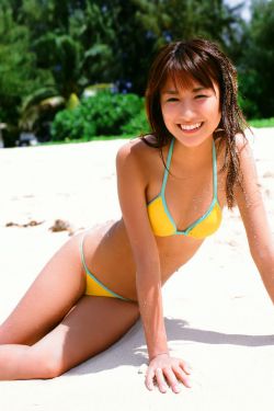 柳舟记电视剧免费观看全集高清